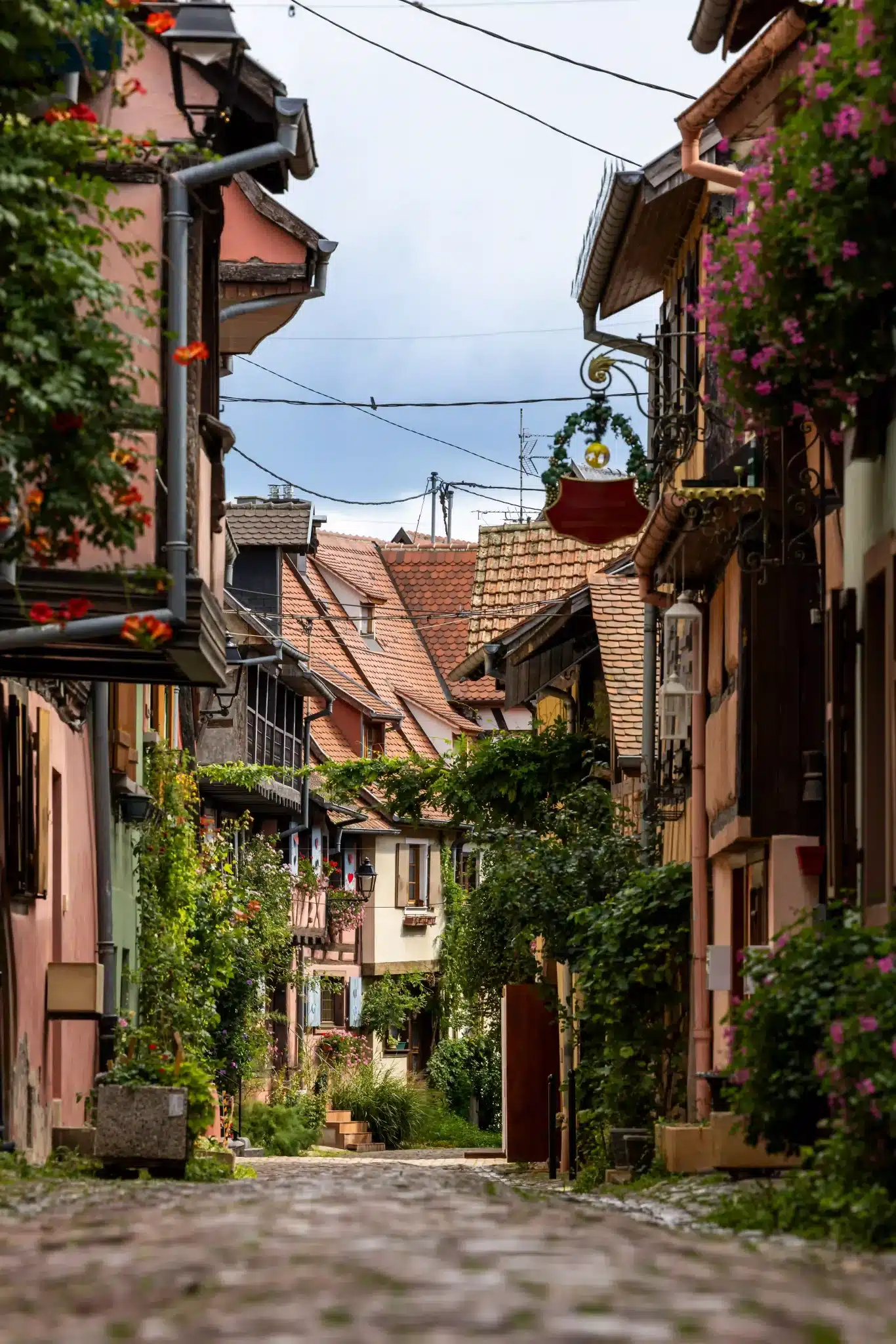Visite historique dans les Vosges.