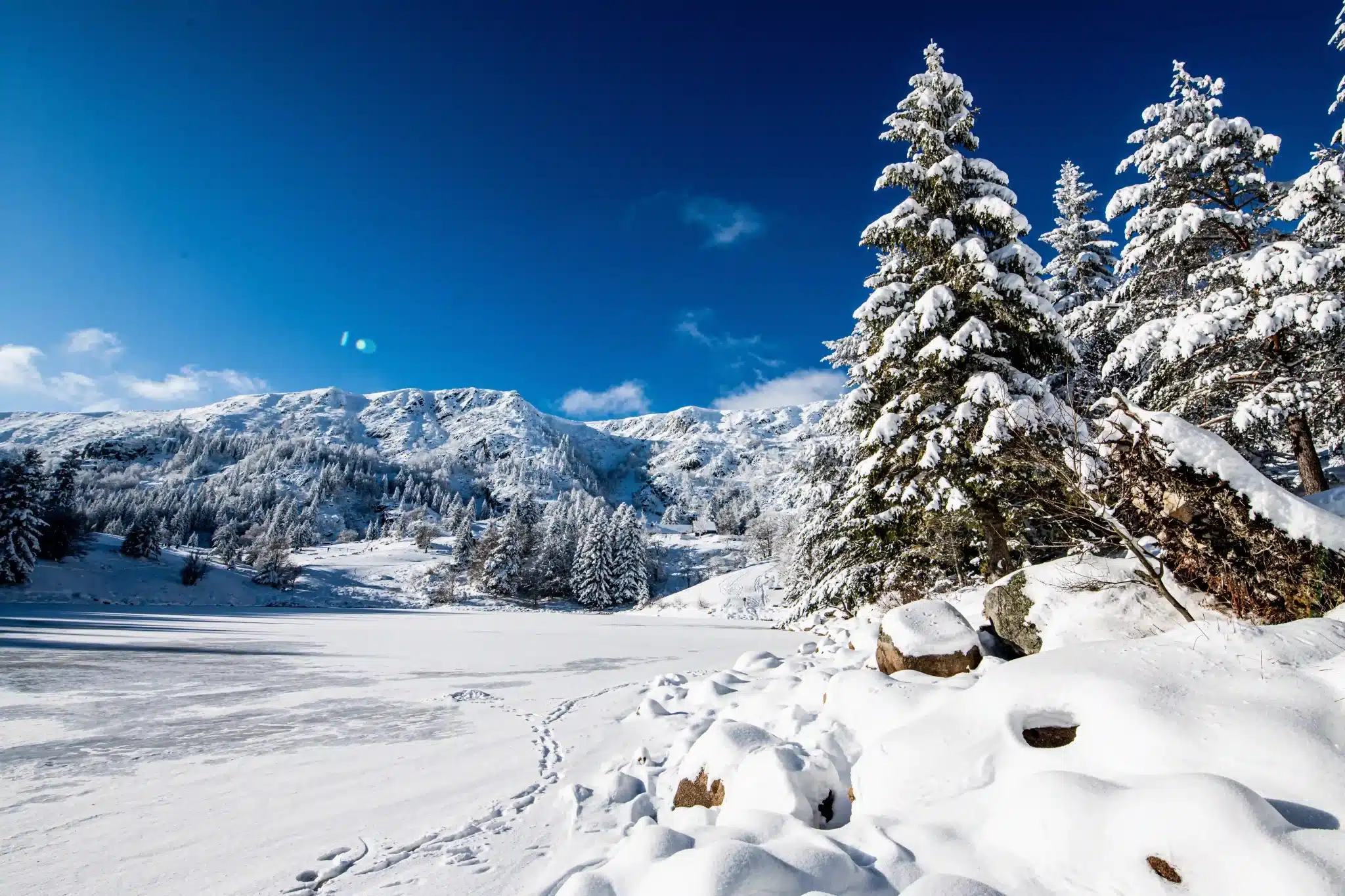 Découverte des Vosges pendant la période hivernale.